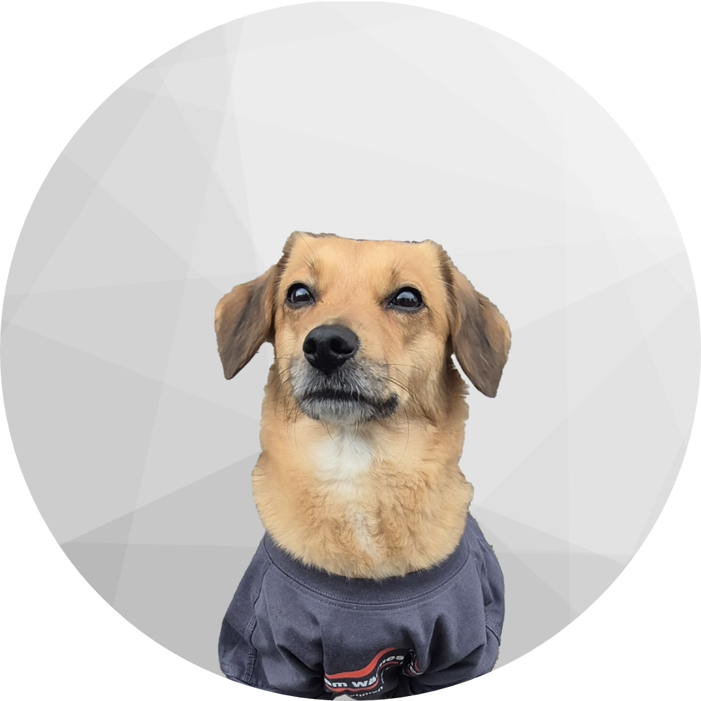 Nala, Maskottchen Nala, Maskottchen